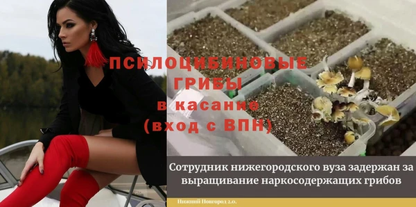apvp Абдулино