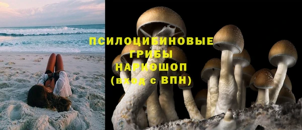 дурь Алзамай