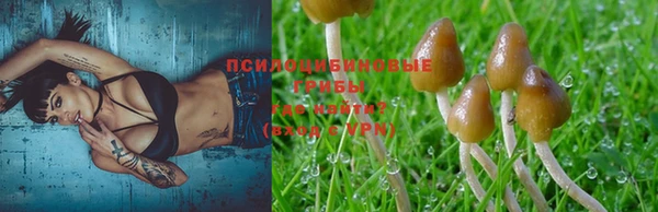 apvp Абдулино