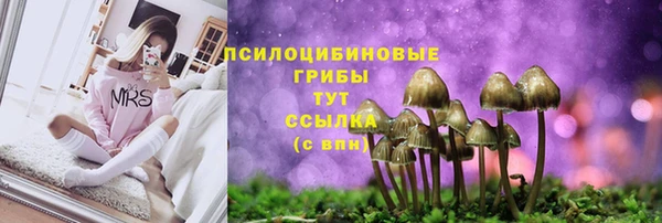apvp Абдулино