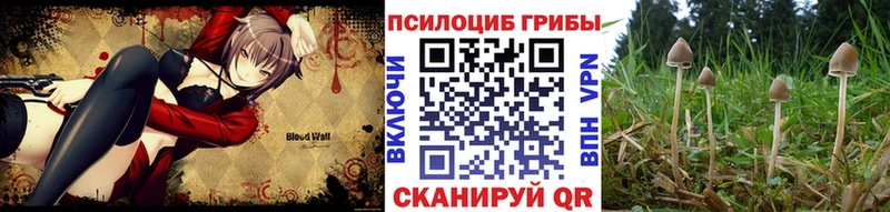 Псилоцибиновые грибы Magic Shrooms магазин продажи Александровск-Сахалинский